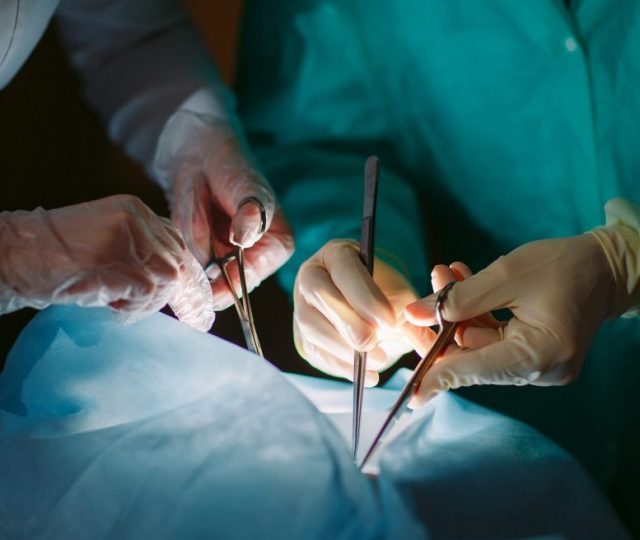 Cirurgiões americanos realizam com sucesso transplante de coração de porco em homem