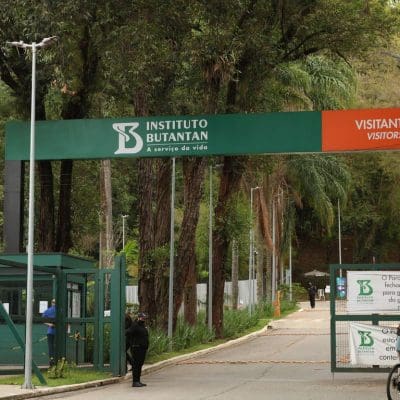 Composto presente em frutas neutraliza o veneno de jararaca, mostra estudo do Butantan