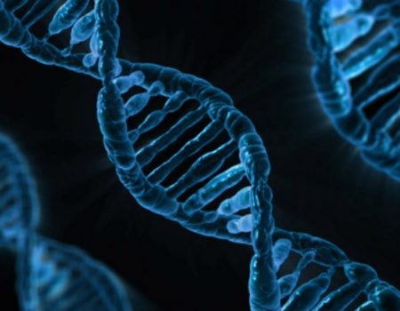 Lúpus: pesquisadores descobrem gene ligado ao desenvolvimento da doença