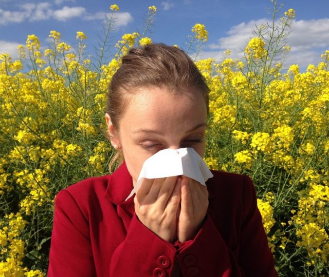 Ter alergias ou asma pode aumentar o risco de doença cardíaca, diz estudo