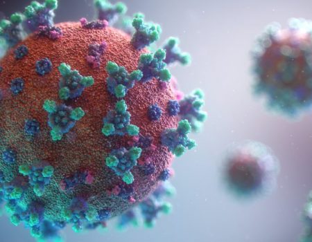 Ondas e surtos menores são previsíveis e normais neste momento da pandemia, diz virologista