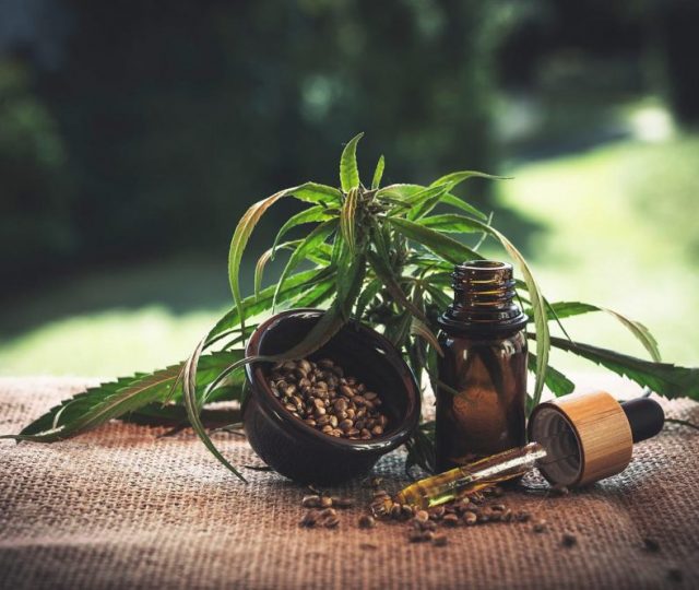 Anvisa aprova novo produto medicinal à base de Cannabis; já são 15 no país