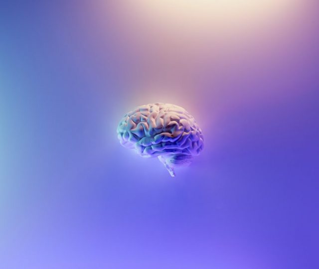 Cientistas criam mini-cérebro que imita sistema de recompensa e movimento
