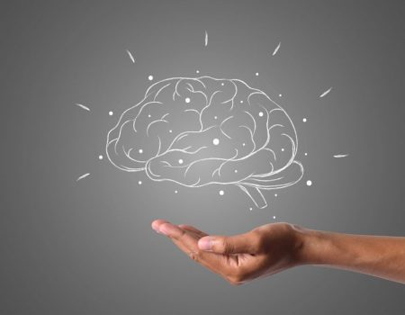 Sete dicas de um neurocientista para turbinar a memória