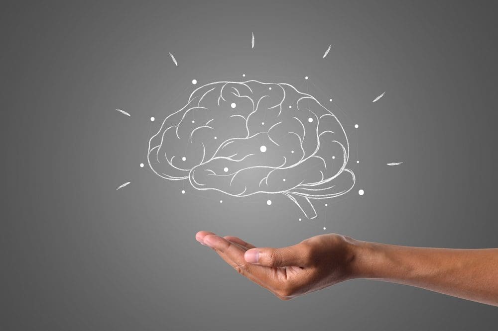 Sete dicas de um neurocientista para turbinar a memória
