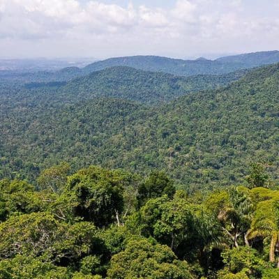 Como a fumaça da África afeta a Amazônia e o clima do Brasil