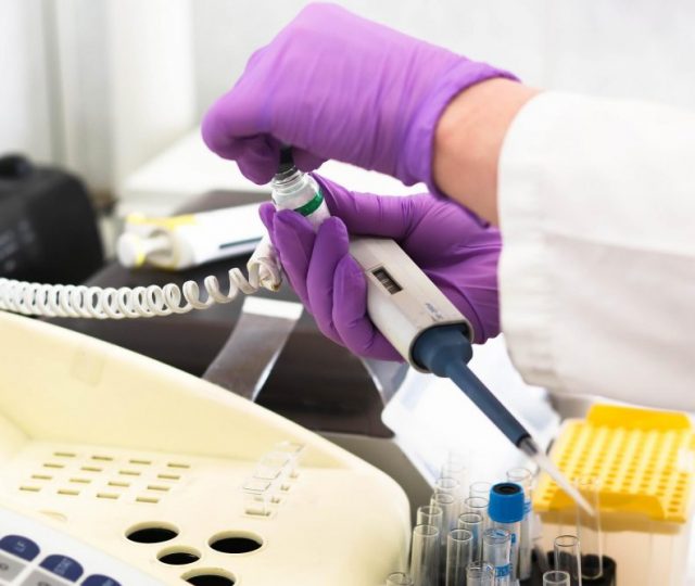 HPV: pesquisadores brasileiros identificam variante do vírus com maior potencial de causar câncer