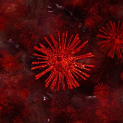 Herpes-zóster: a perigosa doença provocada pelo vírus da catapora ainda pouco conhecida da população