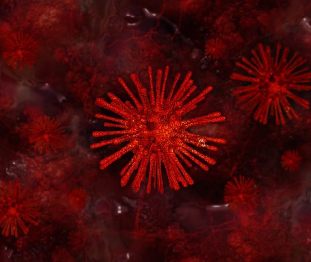 Herpes-zóster: a perigosa doença provocada pelo vírus da catapora ainda pouco conhecida da população