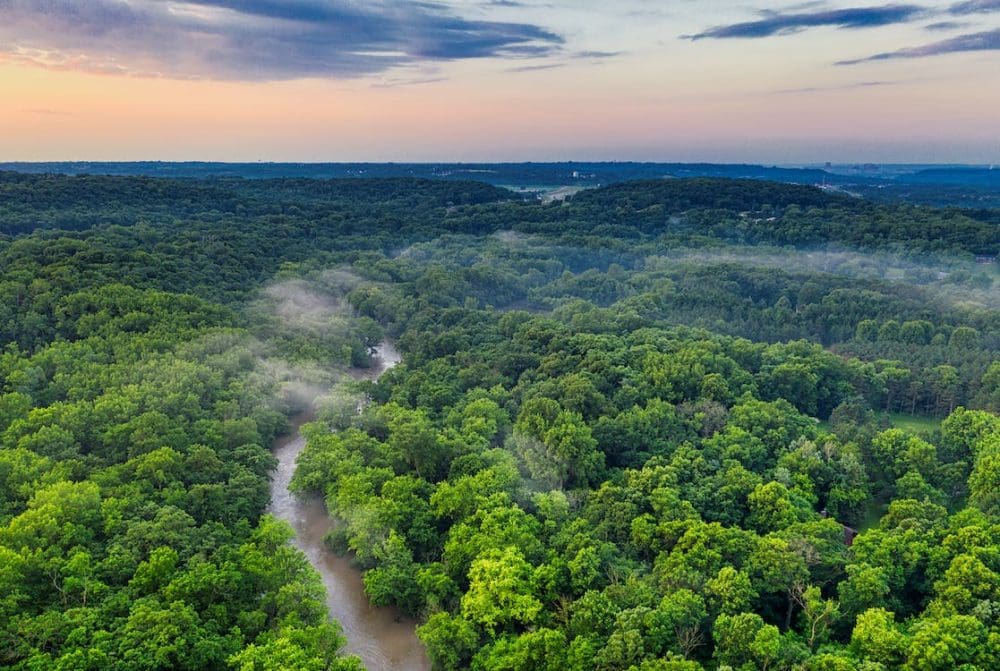 Desmatamento na Amazônia quase triplica no primeiro trimestre de 2023