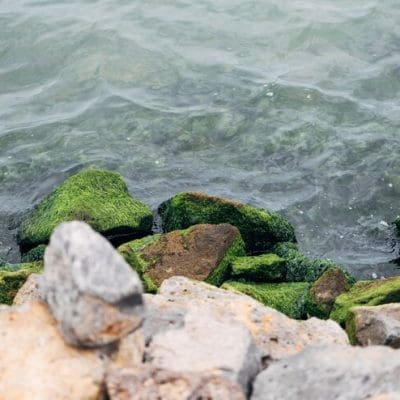 Piroplásticos: as rochas formadas por plástico que ameaçam a Ilha da Trindade