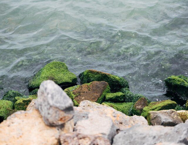 Piroplásticos: as rochas formadas por plástico que ameaçam a Ilha da Trindade