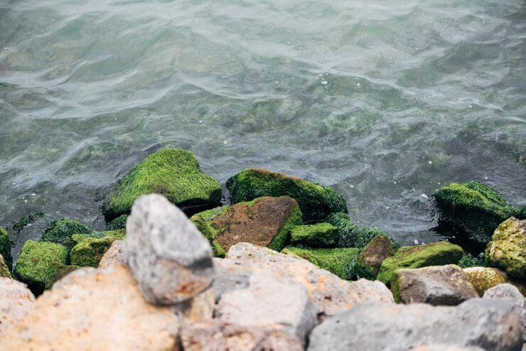 Piroplásticos: as rochas formadas por plástico que ameaçam a Ilha da Trindade
