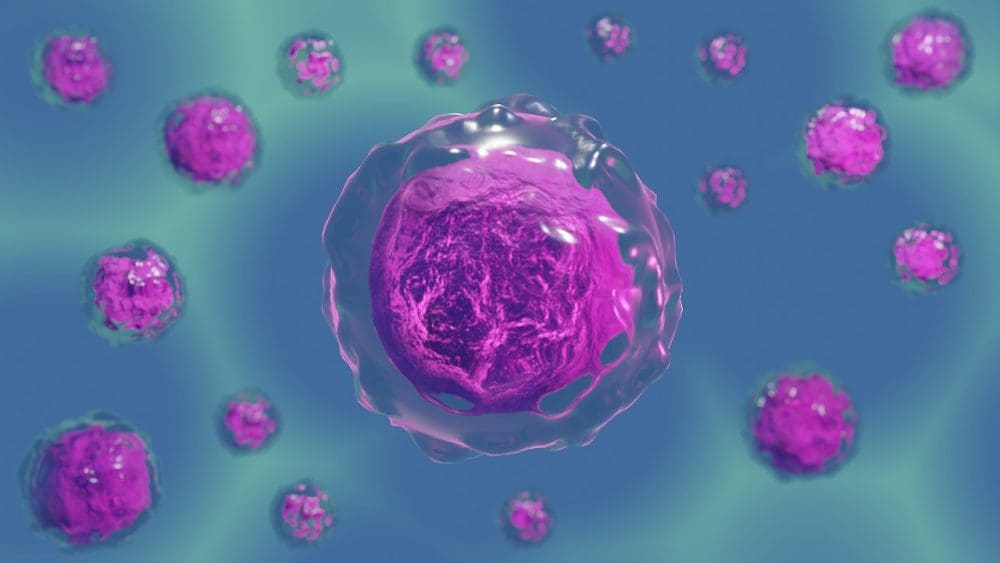 Novo estudo sobre resposta de células imunológicas pode levar a uma imunoterapia mais eficaz