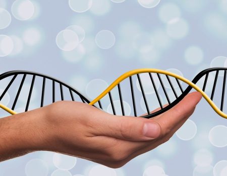 Genômica social: como o DNA pode revelar traços de personalidade