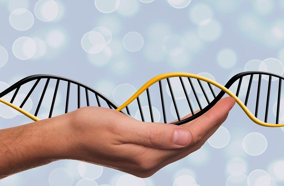 Genômica social: como o DNA pode revelar traços de personalidade