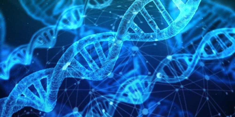 <strong>Biotecnologia: como a descoberta do reparo do DNA pode revolucionar o setor</strong>