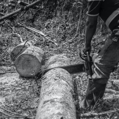 Mais de 340 empresas com certificado de sustentabilidade são acusadas de crimes ambientais