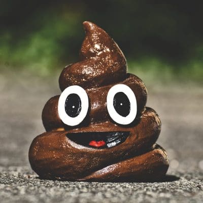 5 coisas que o seu cocô pode te contar sobre a sua saúde