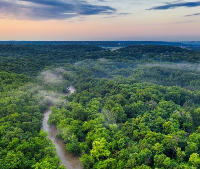 Desmatamento na Amazônia quase triplica no primeiro trimestre de 2023
