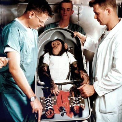 Conheça os animais que já foram enviados ao espaço