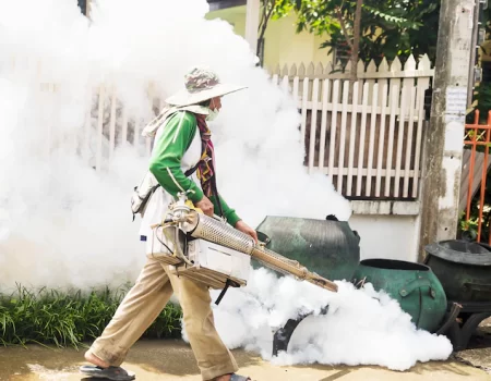 Filariose no Brasil: saiba mais sobre a doença e como combatê-la