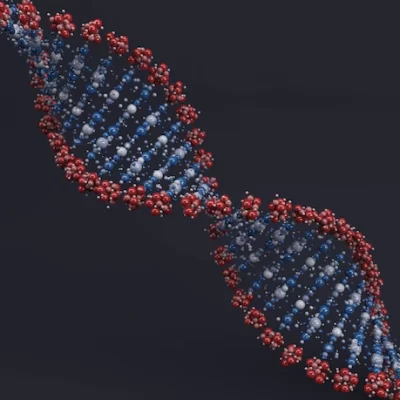O que o DNA dos nossos ancestrais medievais diz sobre nós