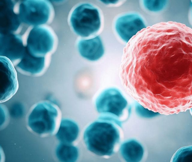 Células T editadas geneticamente eliminam leucemia em pacientes jovens