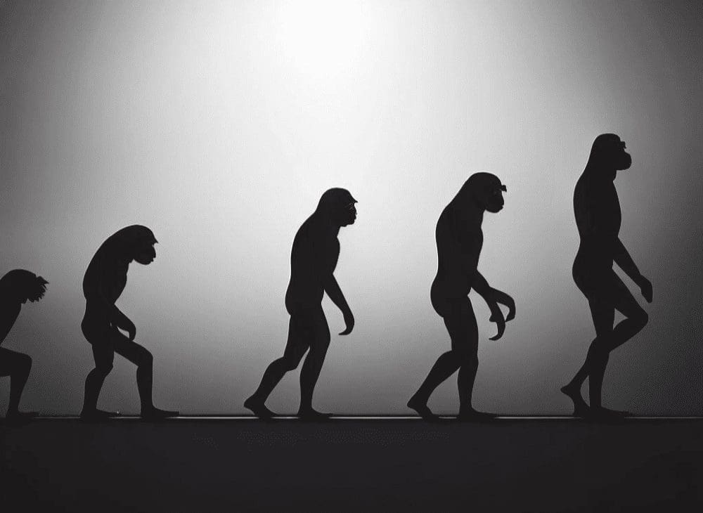 Nova ferramenta ajuda a entender como os humanos evoluíram a partir dos chimpanzés