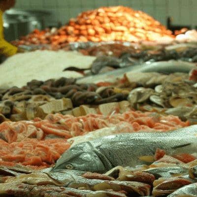 Pesquisadores encontram altos níveis de mercúrio em peixes consumidos no Brasil