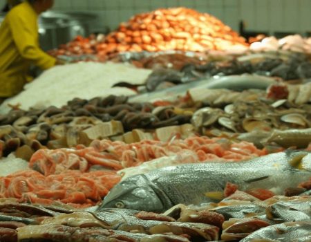 Pesquisadores encontram altos níveis de mercúrio em peixes consumidos no Brasil