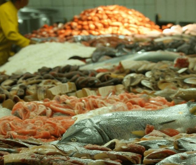 Pesquisadores encontram altos níveis de mercúrio em peixes consumidos no Brasil