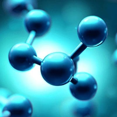 Taurina pode ser a chave para uma vida mais longa e saudável, diz estudo