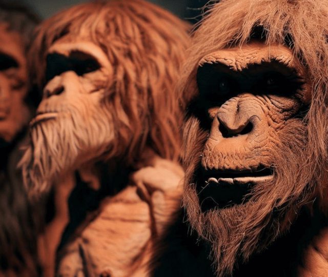 Como o DNA dos neandertais ainda influencia os humanos modernos