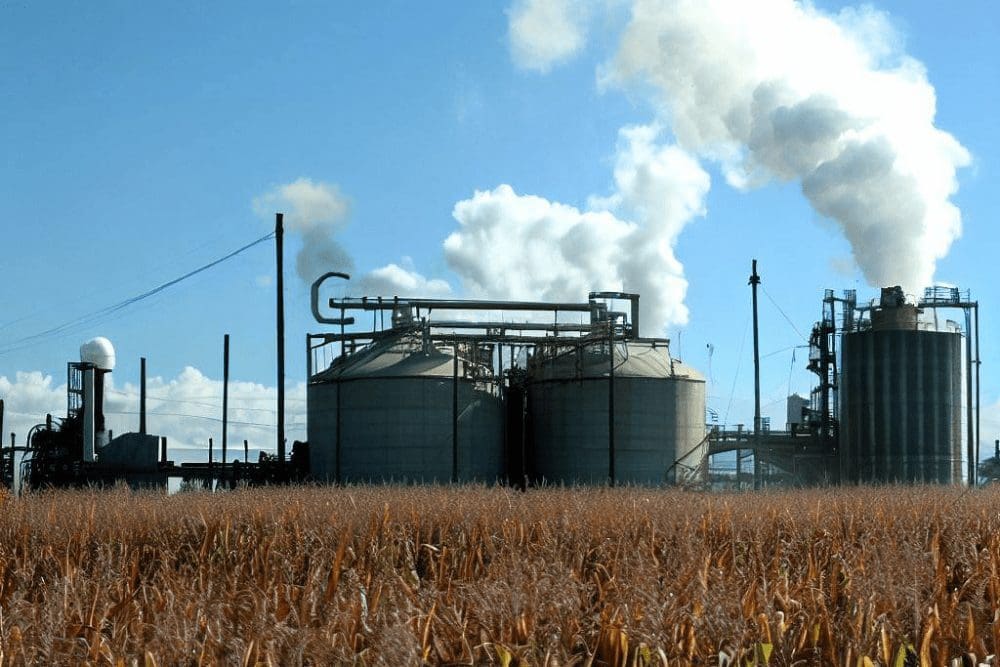 Etanol: como o Brasil lidera a produção do biocombustível do futuro