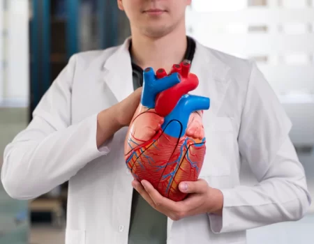 Engenheiros criam modelo robótico do ventrículo direito do coração humano