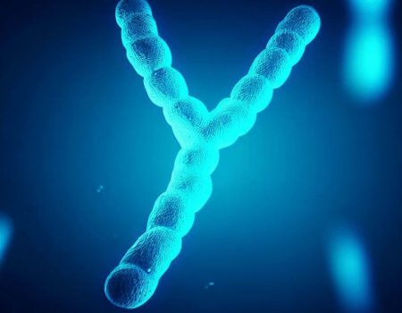 Cientistas decifram o cromossomo Y humano, o mais difícil de ser sequenciado