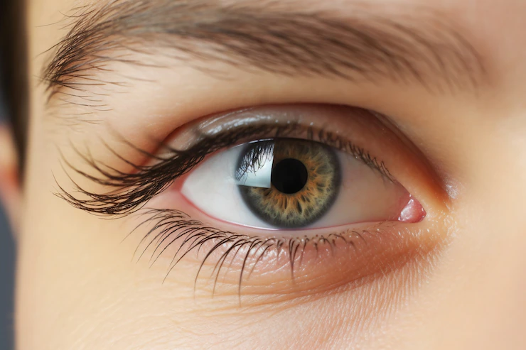 Pesquisadores criam atlas celular do olho humano que pode ajudar a curar doenças da visão