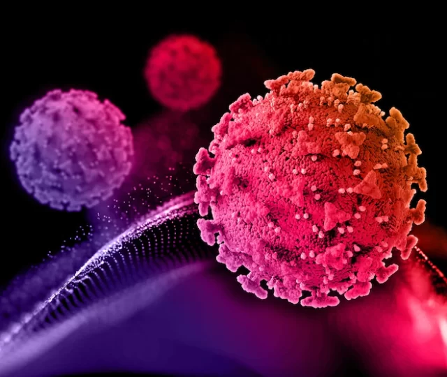 Novo mecanismo de reconhecimento de células cancerosas abre possibilidades de tratamento