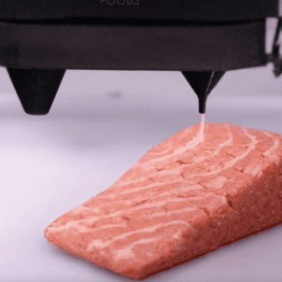 Startup cria salmão vegano impresso em 3D