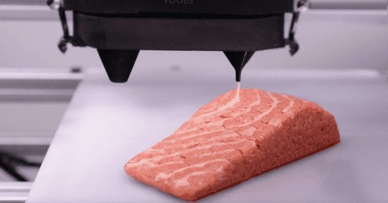 Startup cria salmão vegano impresso em 3D
