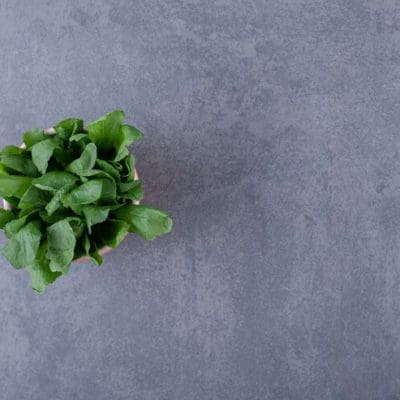 Estudo revela que o agrião supera todos os outros vegetais e frutas em valor nutricional