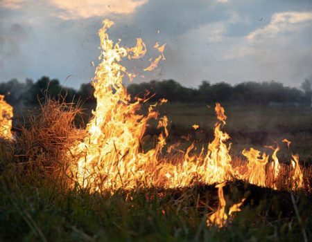 Governo de Minas adota medidas preventivas para combater incêndios florestais antes do período seco