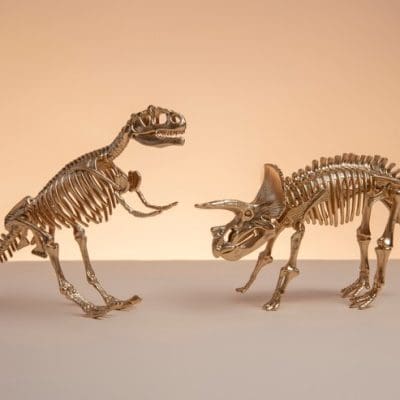 Como os ossos se decompõem e como os dinossauros se tornaram fósseis?