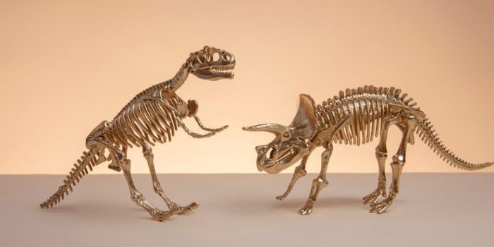 Como os ossos se decompõem e como os dinossauros se tornaram fósseis?