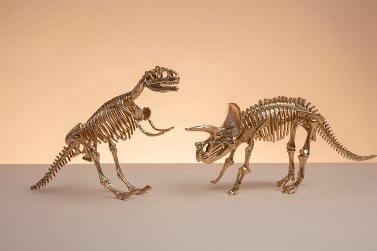 Como os ossos se decompõem e como os dinossauros se tornaram fósseis?