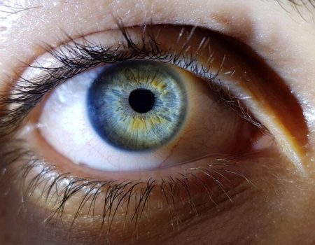 Modelo de aprendizado de máquina pode prever e prevenir a perda de visão em pacientes com alta miopia
