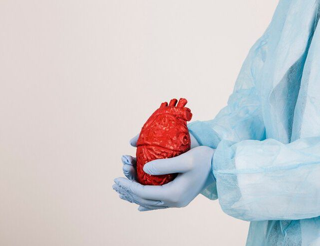 Pesquisa revela risco da terapia celular para o coração