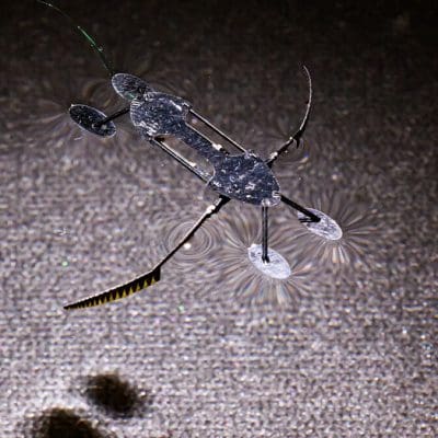 Pesquisadores criam robôs microscópicos inspirados em insetos