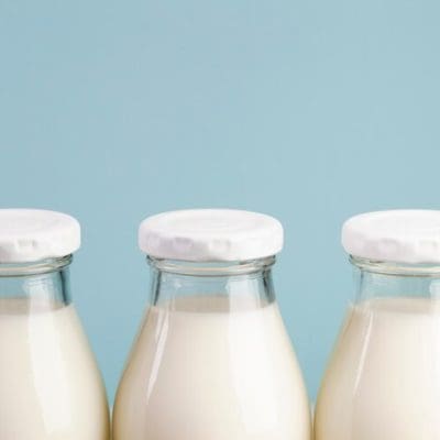 Leite materno protege filhotes de camundongos de infecção bacteriana, diz estudo